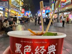 -黑色经典臭豆腐·湖南特产(潇湘文化店)
