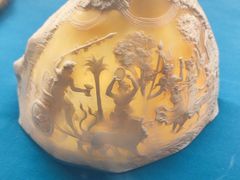 -青岛贝壳博物馆