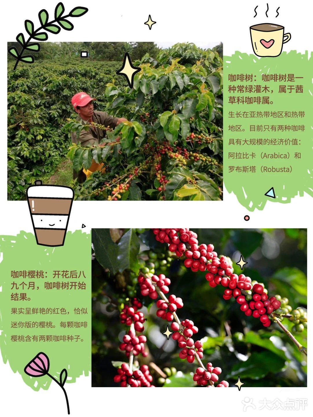 知识科普|10种咖啡术语,学点咖啡知识☕️
