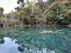 -雁荡山灵峰景区
