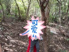 -青龙山国家森林公园