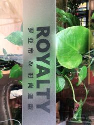 -罗亚帝造型