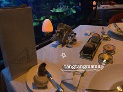 -迪拜帆船酒店海底餐厅