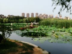-前关湿地公园