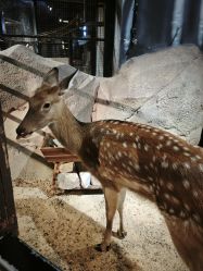 -酷嗒动物文化乐园(cutezoo西溪乐天城店)