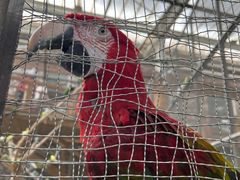 -南宫五洲植物乐园