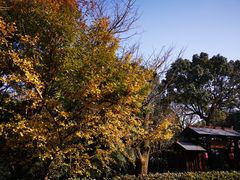 -穹窿山景区