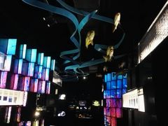 -同济大学四平路校区深海探索馆