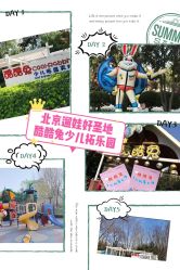 -酷酷兔少儿拓展天地