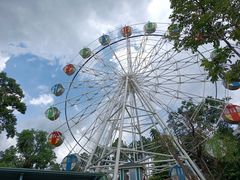 -森波拉奇妙世界