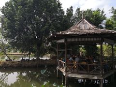 -大自然美食农庄(广州南站店)