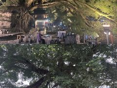 -云水谣景区