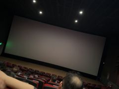 -保利国际影城(中环店)