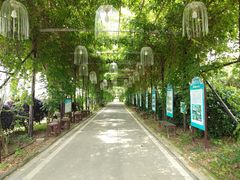 -武汉紫薇都市田园