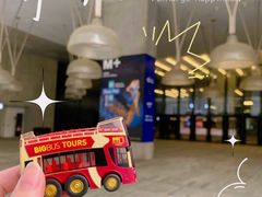 -Big Bus Tours 敞篷观光巴士
