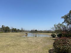 -漩门湾国家湿地公园