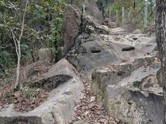 -南山植物园