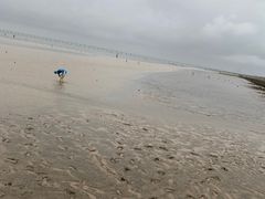 -南汇嘴观海公园