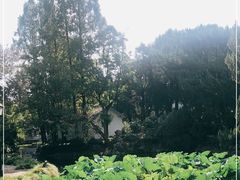 -叶家花园