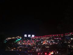 -枇杷园食为鲜火锅(南山店)