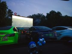 -枫花园汽车电影院(朝阳公园店)
