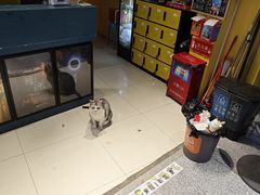 -谜盒子奇幻密室(南屏店)