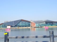 -上海长兴岛郊野公园