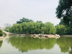 -达活泉公园