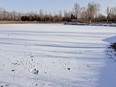 -东郊湿地公园