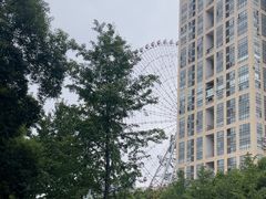 -星城之眼摩天轮