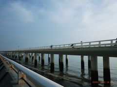 -演武大桥观景平台