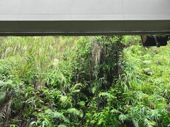 -来回·咖啡(钟村咖啡豆店)