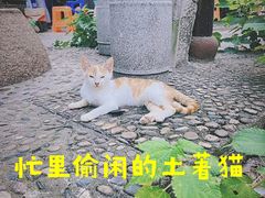 -敬亭山风景名胜区