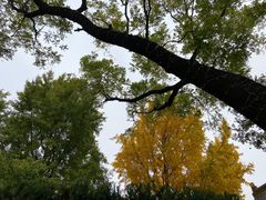 -中国人民抗日战争纪念雕塑园