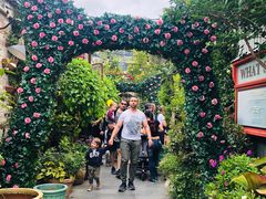 -The Grounds of Alexandria