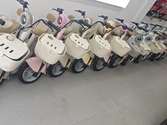 -雅迪电动车(北艾路店)