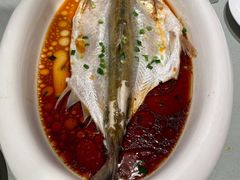 清蒸江白鱼-扬州万怡酒店-中餐厅(文昌中路店)