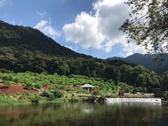 -广州市石门国家森林公园
