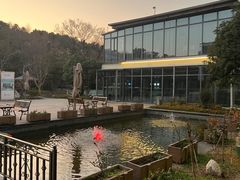-宝界普菲特湖畔酒店