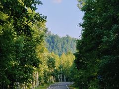 -五营国家森林公园