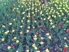 -长春公园(普阳街道)