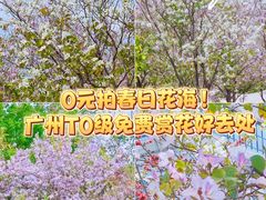 -海珠儿童公园