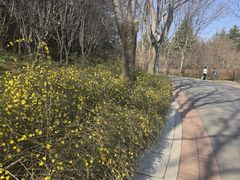 -郑州植物园