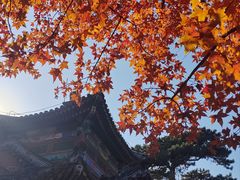 -香山公园