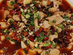 -陶然饺子城(奥体中路店)