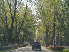 -合肥三国新城遗址公园