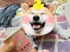-盒马鲜生(大成店)