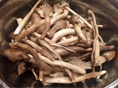 iphone_upload_pic-鲍国演义(禅城店)