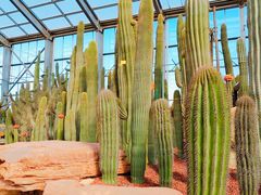 -南通洲际绿博园