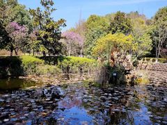 -绍兴镜湖国家城市湿地公园